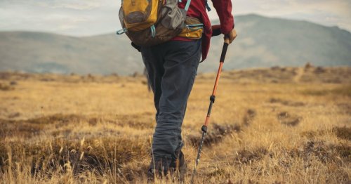 Hiking poles 101: All the different kinds — and our top picks