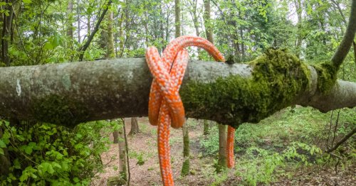 Learn to tie the clove hitch for when you need a secure, adjustable knot