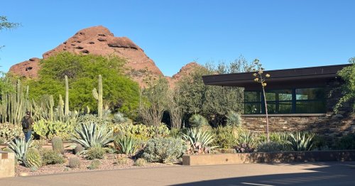 Why this desert garden should be your first stop in Phoenix
