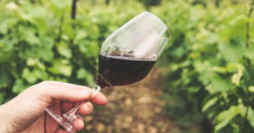 Wine 101: Everything you ever wanted to know about cabernet sauvignon