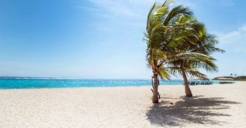 Report 4 Travel Trends Influencing Where Your Next Vacation Will Be Flipboard