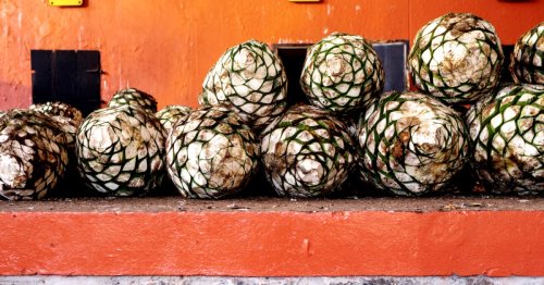 How to pick the absolute best tequila, just by looking at the label