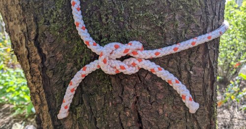 These are the essential outdoor knots that every outdoorsman should know