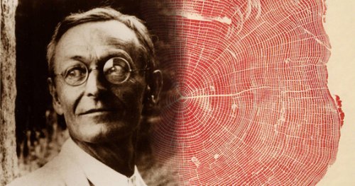 Hermann Hesse on What Trees Teach Us About Belonging and Life