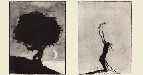 Trees at Night: Stunning Rorschach Silhouettes from the 1920s