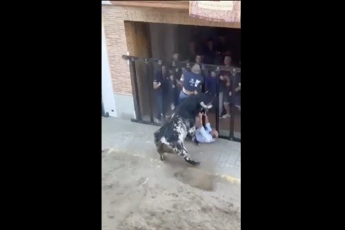 Video Catches Moment Man is Brutally Gored By Bull At Spanish Festival, Dies Day Later