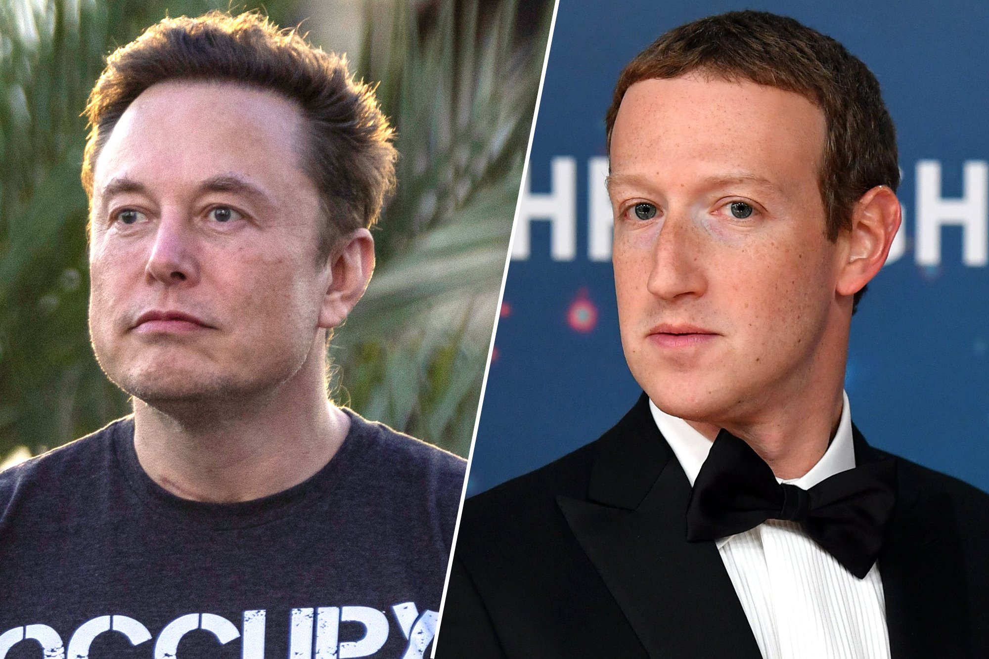 The Musk-Zuckerberg Cage Match: Will It Actually Happen?