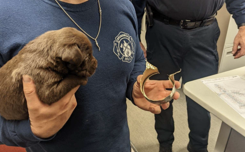 Pictured: Firefighters Rescue 3-Week-Old Puppy Who Got His Head Stuck in a Can