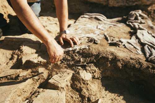 Woman Finds Massive ‘Very Rare’ Dinosaur Skull While Taking a Walk in Her Backyard