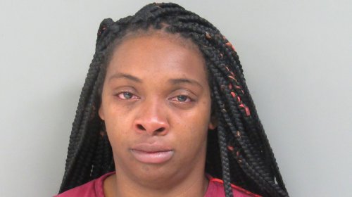 South Carolina Mother Arrested After Child Shoots Baby Brother Dead When She Left Them Alone ‘For a Few Hours’: Police