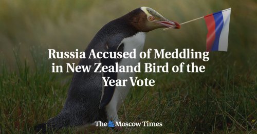 Russia Accused of Meddling in New Zealand Bird of the Year Vote