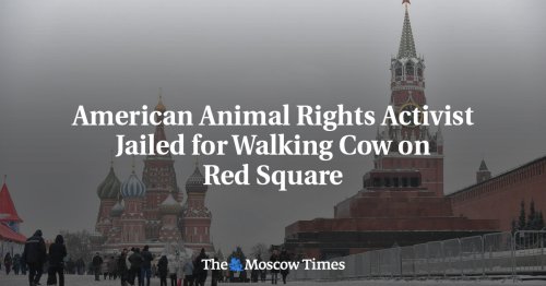 American Animal Rights Activist Jailed for Walking Cow on Red Square