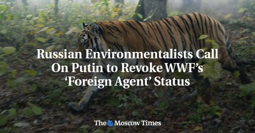 Russian Environmentalists Call On Putin to Revoke WWF’s ‘Foreign Agent’ Status - The Moscow Times