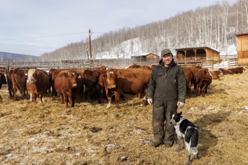 ‘Really fed up’: B.C. ranchers say fracking-induced earthquakes hurt cattle