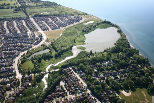 Hospital vs. headwaters: Ontario’s Durham Region battles over the future of Carruthers Creek | The Narwhal