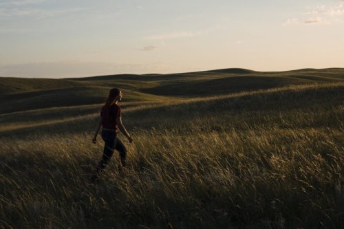 Where federal parties stand on Canada’s sexiest emissions fix: nature-based climate solutions | The Narwhal