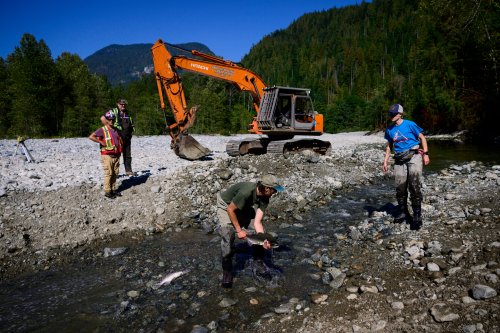 Restoring the flow: Tsleil-Waututh’s race to save salmon habitat in drought stricken southwest B.C.