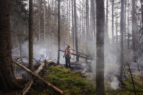 Life in the time of wildfire