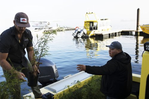 ‘A lot of salmon died’: Ahousaht Guardians look to watershed restoration amid B.C.’s dangerously dry summer | The Narwhal
