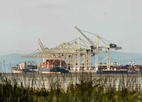 This Vancouver megaport expansion could harm killer whales. Approving it still didn’t breach endangered species law, court says