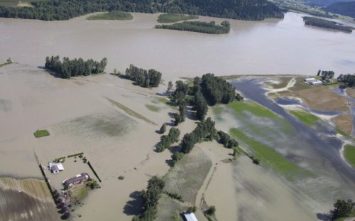 Restoring salmon habitat could help B.C.’s flood problems