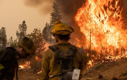 The Fingerprints Climate Change Leaves Behind