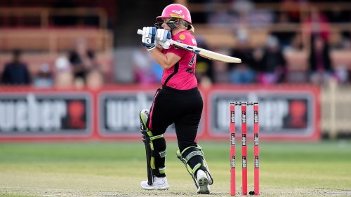‘Dog attack’ sidelines women’s cricket star Alyssa Healy