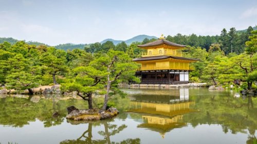 Sumos, temples and geishas – a Japan journey not to be missed