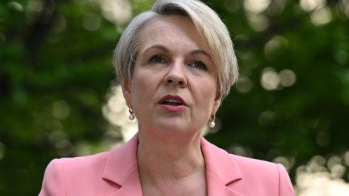 Minister taken to court over ‘mega’ coalmine approvals