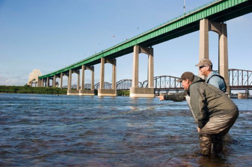 Drive-to Angling in Algoma