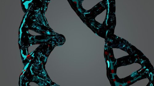 Python’s Open Source DNA Powers Anaconda’s New AI Platform