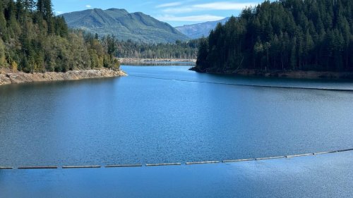 Trump cuts to western WA dam project likely to affect housing, water supply