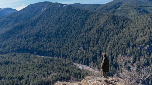 Trump wants more logging in national forests. Here’s what that could mean for WA