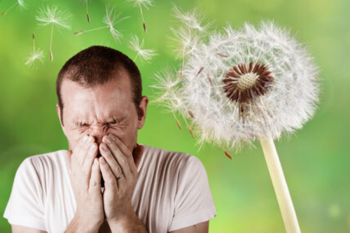 5 'miracle' home remedies to ease even the most horrendous HAY FEVER symptoms