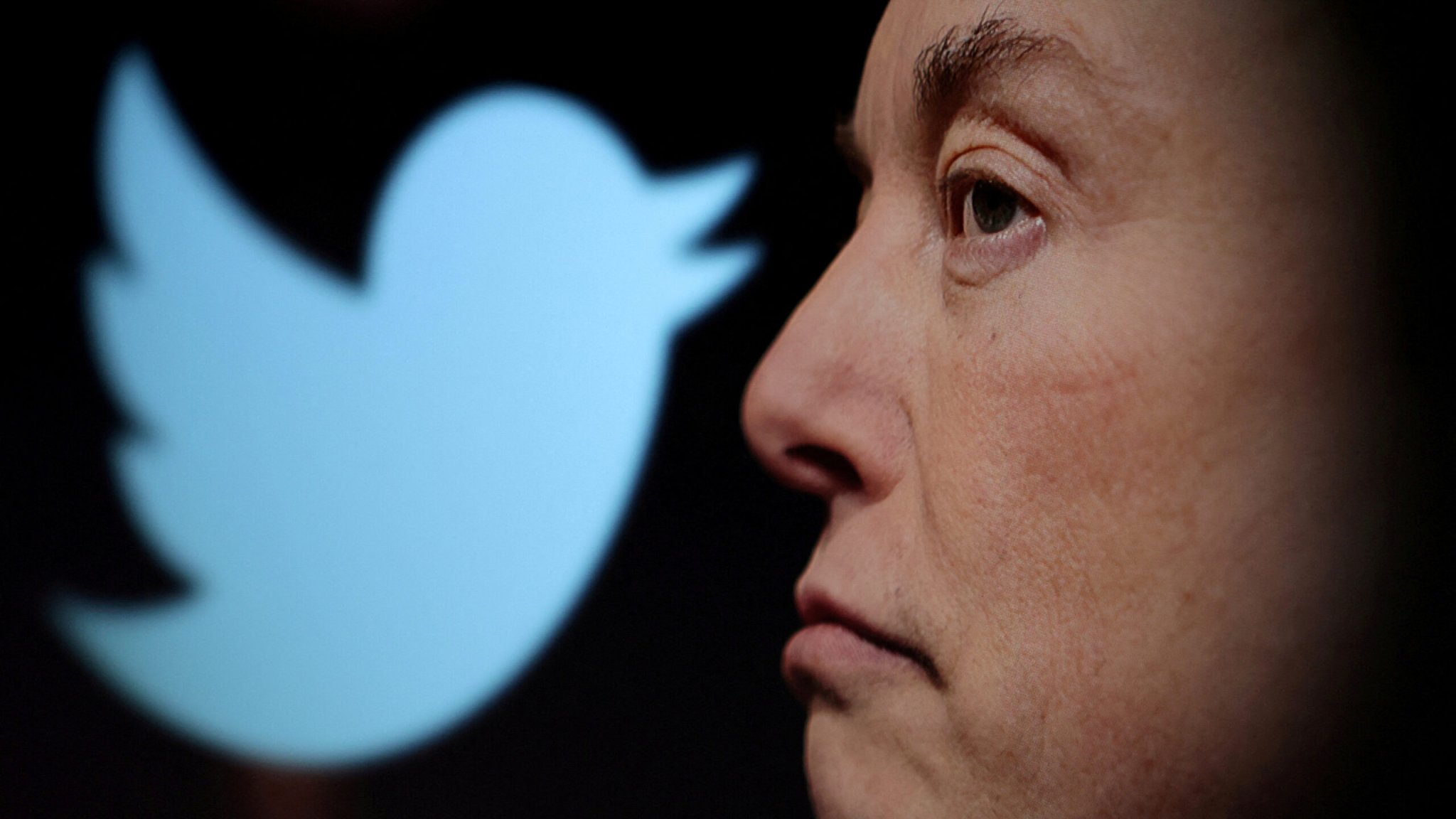 Twitter despide a «cerca del 50%» de sus empleados en el mundo