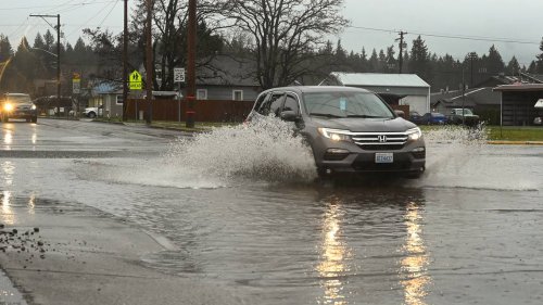 The cold and rain are here for a while longer in Thurston County, experts say