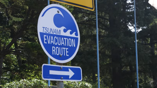 Washington is at high risk of tsunamis and waves up to 42 feet tall, here’s how to prepare