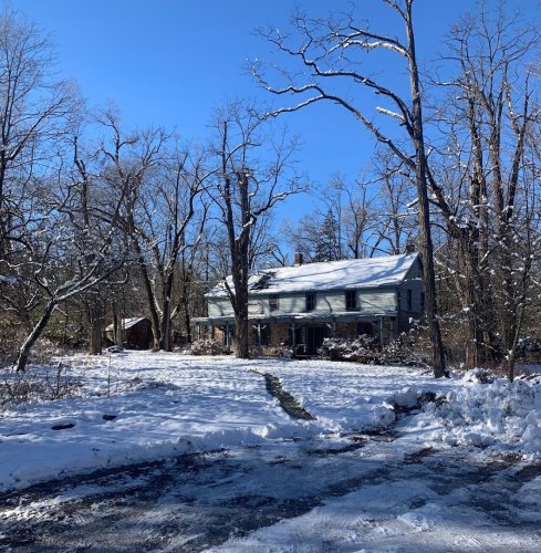 Lifesize Dioramas: At Carolee Schneemann’s House