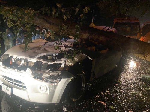 Pickup truck passenger, 51, killed in Si Saket after their vehicle was reportedly crushed by large fallen tree caused by 'NORU' tropical storm on Wednesday - The Pattaya News