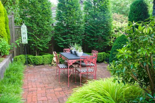 9 Cheap Ways to Block a Neighbor’s View for Less than $100