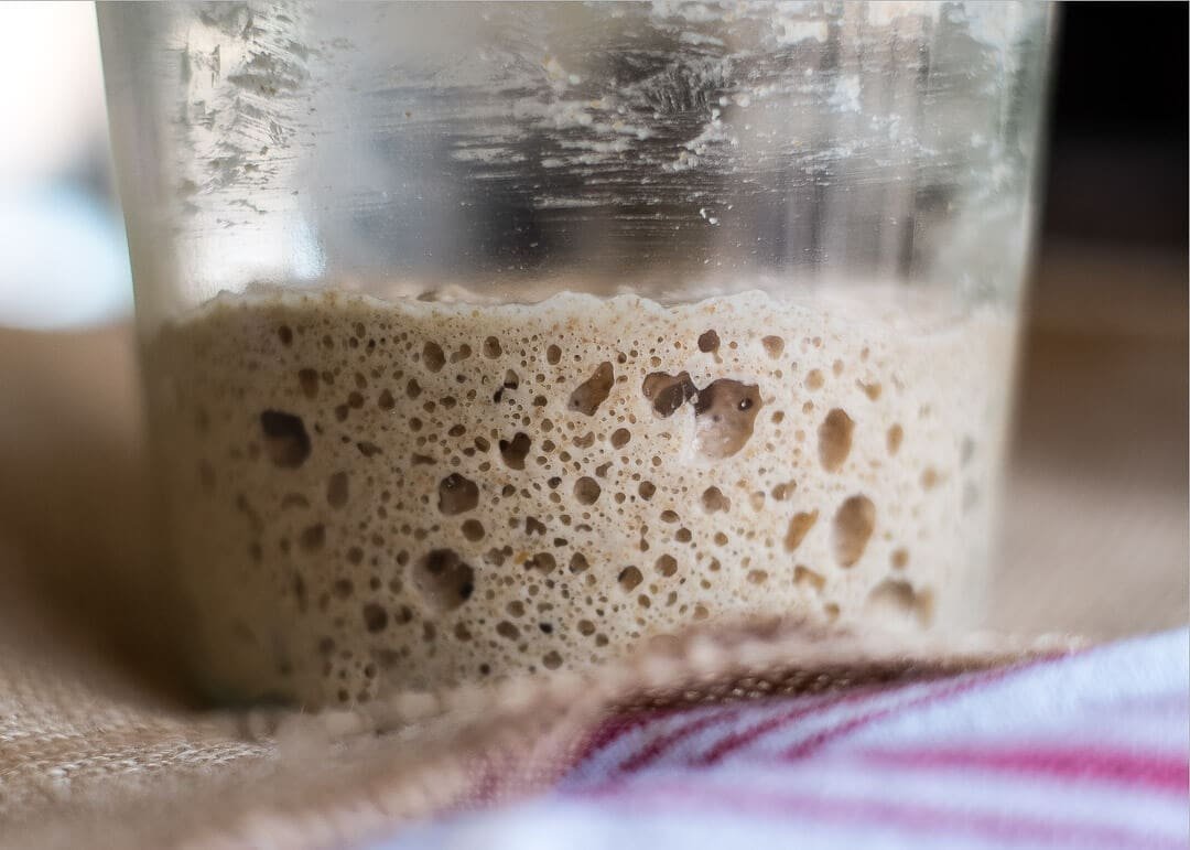 Everything Sourdough Starter cover image