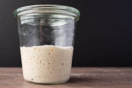 Keeping a Smaller Sourdough Starter to Reduce Waste | The Perfect Loaf