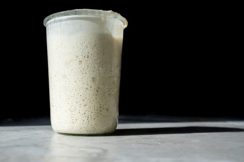 How do I feed my sourdough starter? | The Perfect Loaf