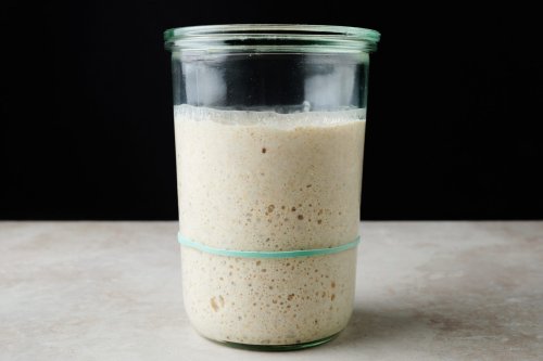 21 Common Sourdough Starter Problems with Solutions | The Perfect Loaf