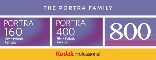 A Film Photographer's Introduction to the Kodak Portra Family
