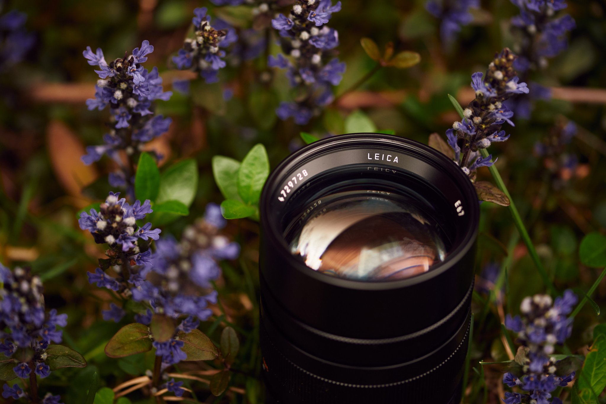 Challenging, But Worthy Slice of Focus: Leica 90mm F1.5 Summilux ASPH