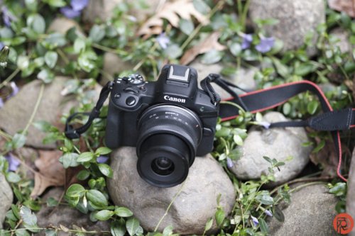 6 Best-Selling Mirrorless Cameras on Amazon Right Now