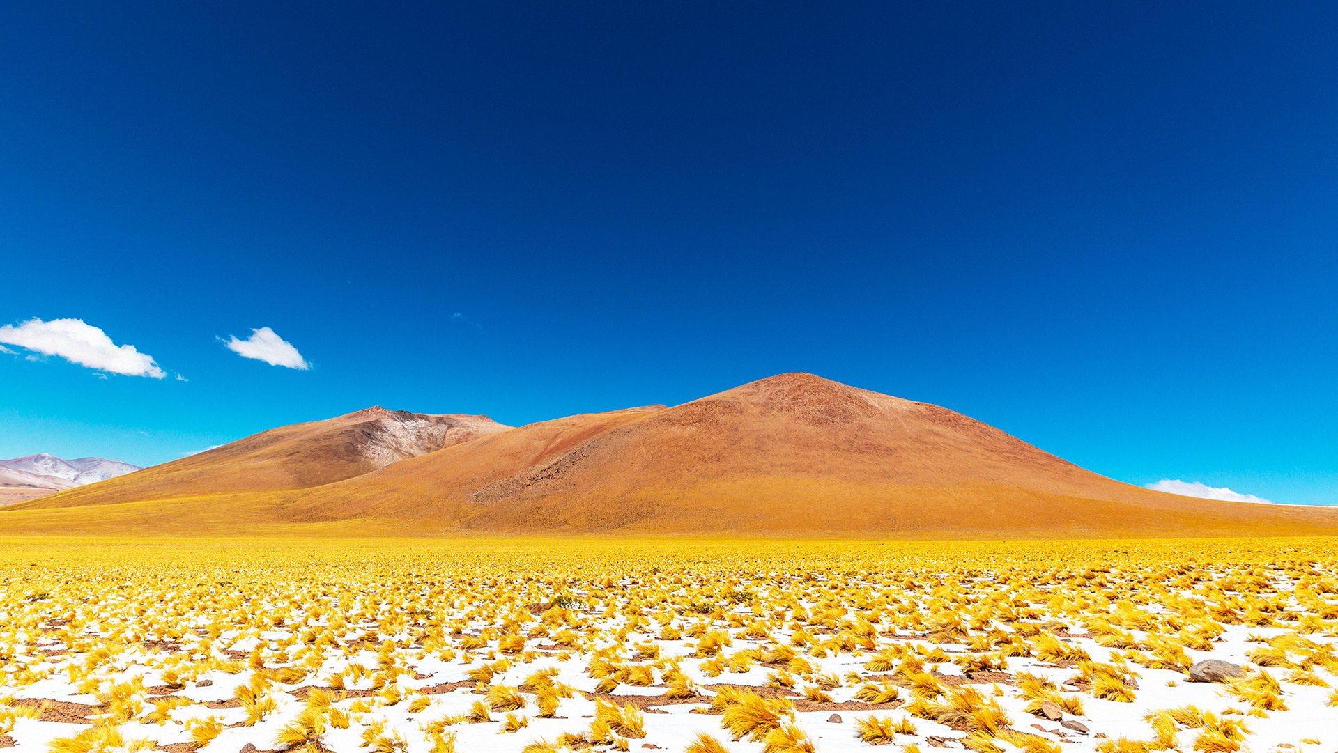 Felipe Ballin Shares the Colorful Spectacle of the Atacama Landscapes