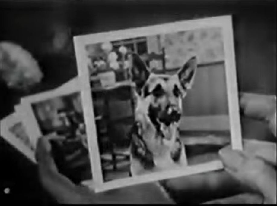 This Kodak Brownie Commercial Doubled as a Pet Portrait Tutorial