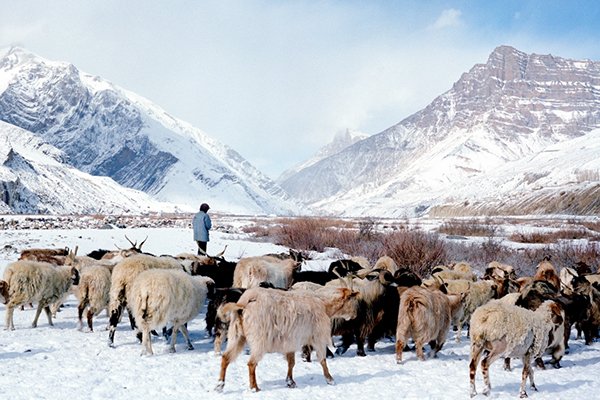 Himalayan Winter: Frigid Frames on Film by Nandakumar Narasimhan